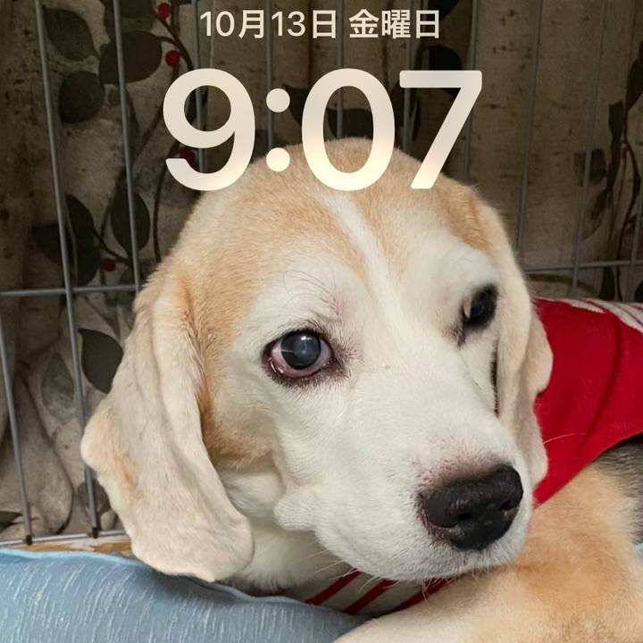 1b9a26c7 ec91 4610 a6cb e21dc26c03c7 1697155844219