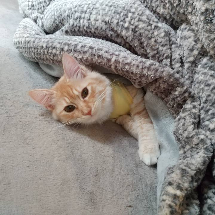 1b9a4b7a 1625 4386 b0ac dce17d5110a7 1614841199570