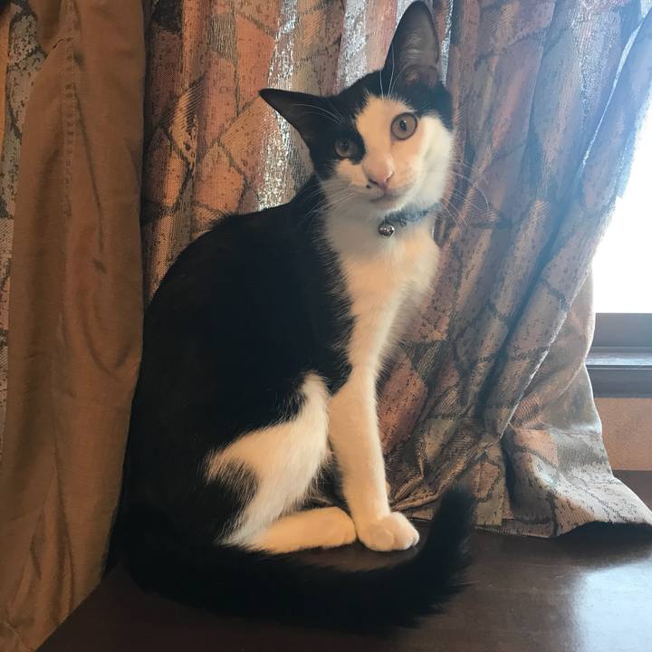 1b9a8f12 41ac 465d bcbf fda9941a808c 1515907307692