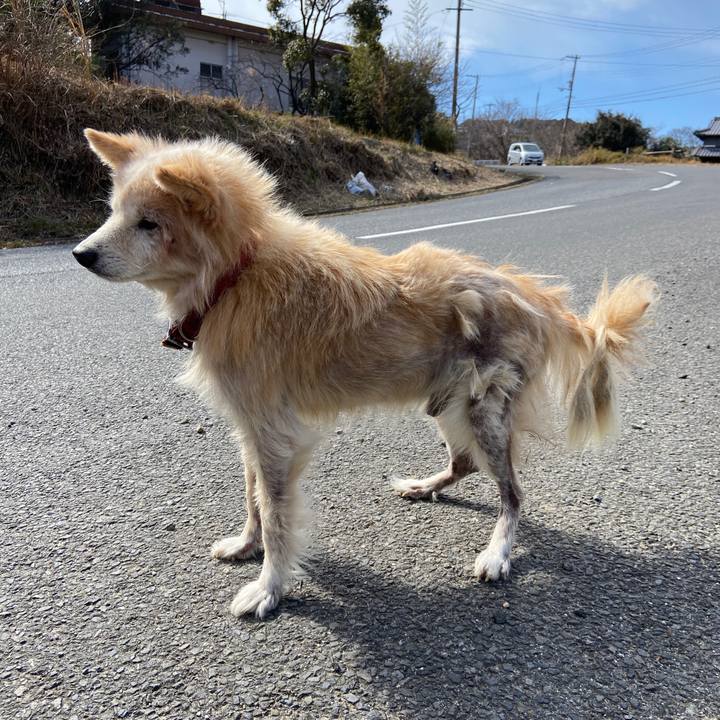 1b9ae09d fc11 4a38 a58d 4b8a44d4d9bc 1646826637118