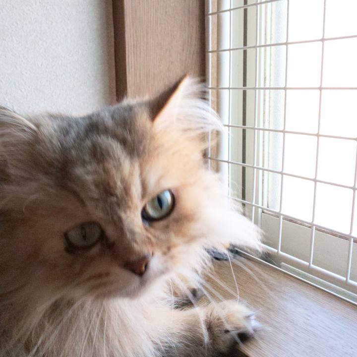 1b9b11da 4b38 412e a99d 481bcbfacf27 1616745071920