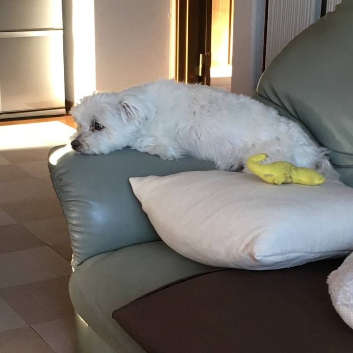 1b9b1f93 c977 4d1f 9449 bc79fb3039f3 1556799105114