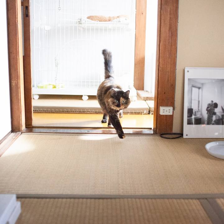 1b9b2272 4c50 4935 a84a 07931fe1c242 1573641569280