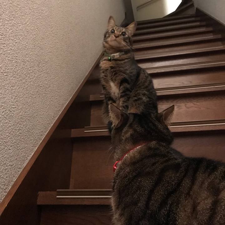 1b9b3b70 9347 470f 9acf c0774c1eba21 1581874061322