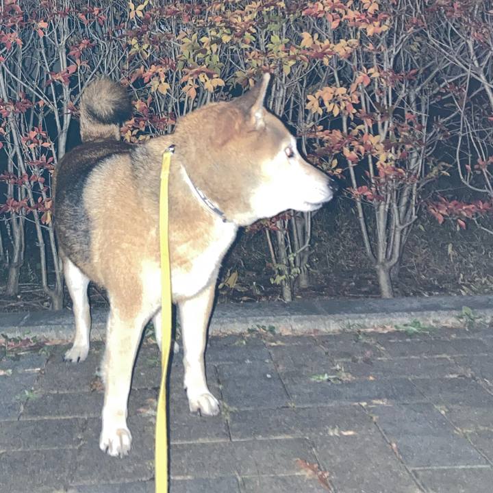 1b9b55ca 2fa8 4027 8184 573a825bfd0c 1638694208146