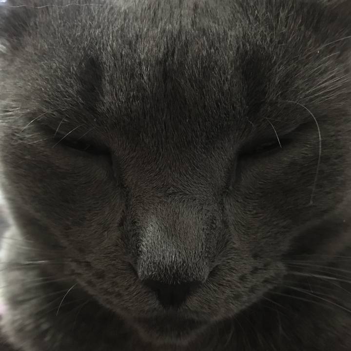 1b9b5af3 d885 4160 a4e6 521b08ffddf4 1645301656009