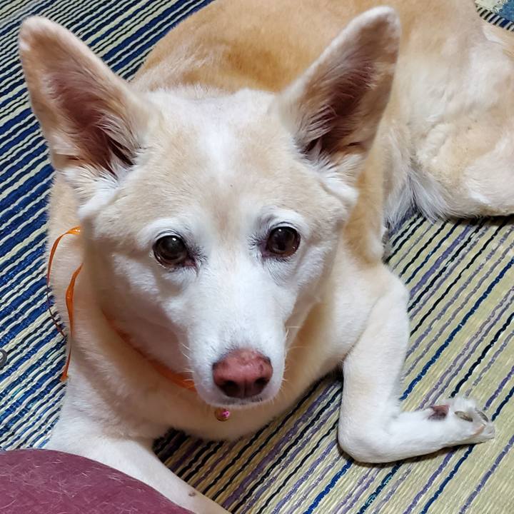 1b9bc664 dd0c 40fb 9566 61dbd4aba694 1623410268201