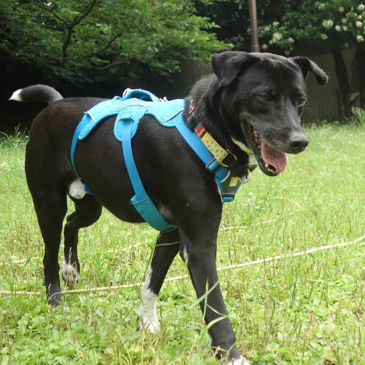 1b9bce48 9bc5 488d b68f 517be44f0fbe 1623030411337