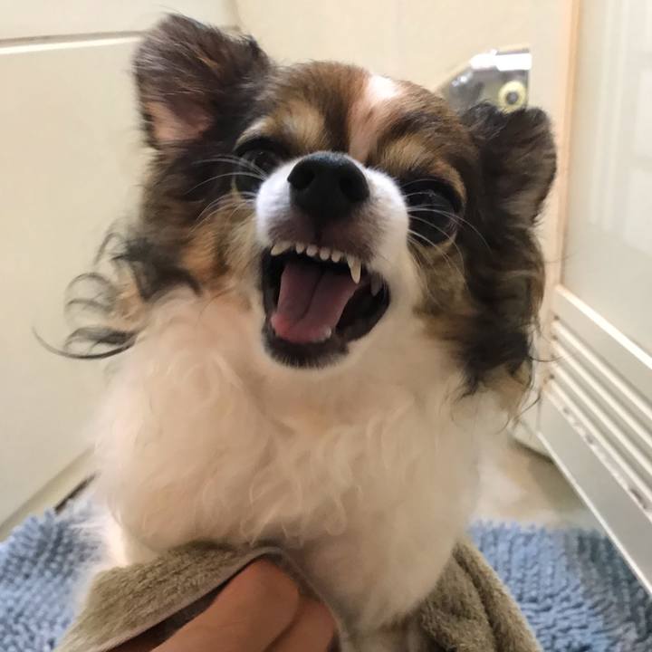 1b9bf8da 560a 4583 a73e 92e8254d4066 1563064385653