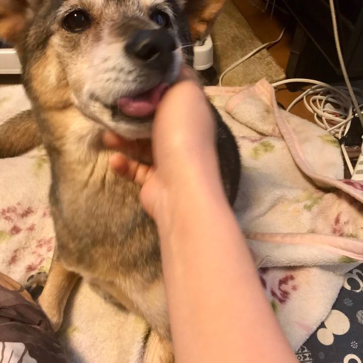 1b9c0c6a 49a4 4463 b4e6 c1f299058c8d 1543829503217