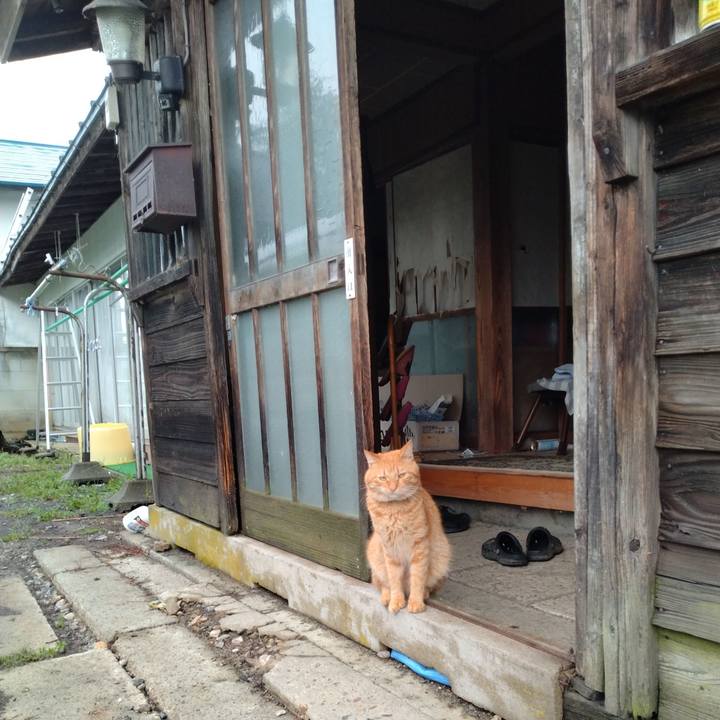 1b9c36d8 8c43 42fa a551 4b8acd6e4ce5 1694562375884