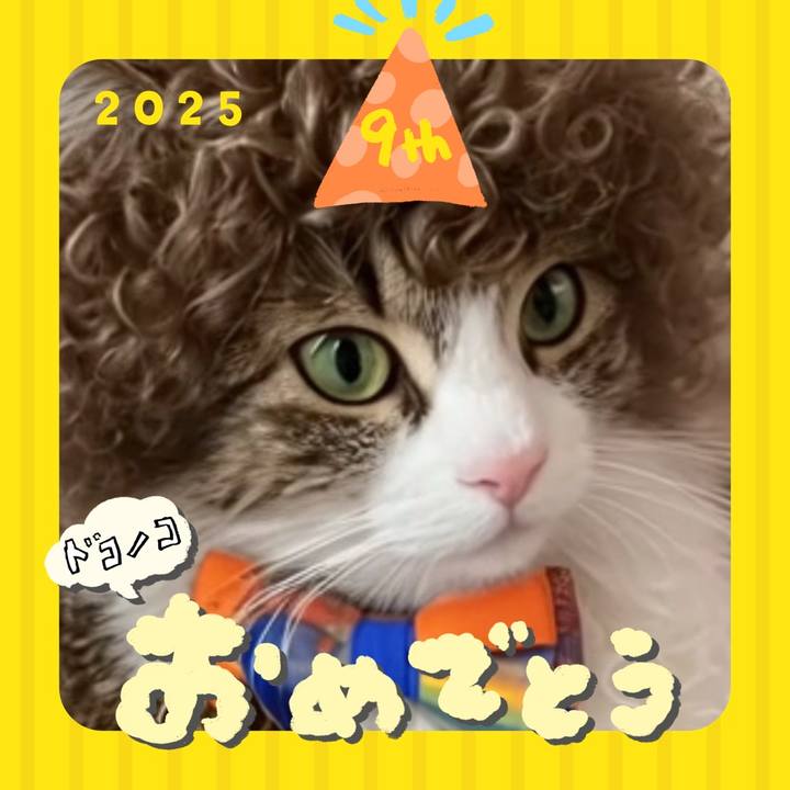 1b9c3c33 8847 4de8 b513 fd85d0441057 1749225035299