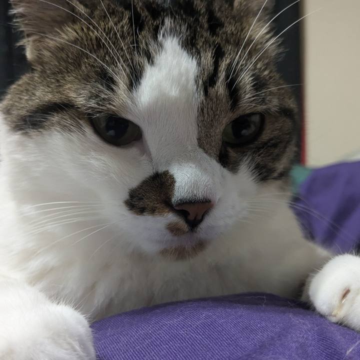 1b9c5a2d eeca 4944 92fa a2ddd4939fe7 1722589886285