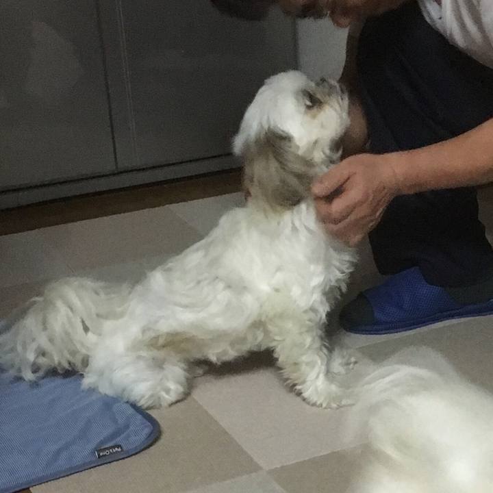 1b9c5a9b c643 4c59 84d4 0efb80419b0d 1524914732700