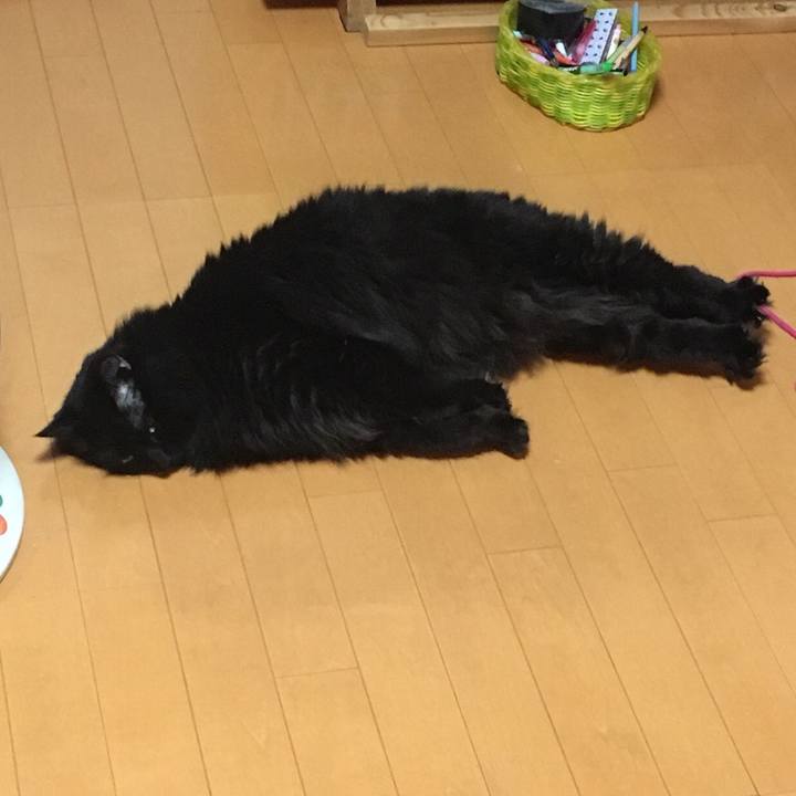 1b9c61e9 dbc4 4bf7 a3b3 07878190bf78 1573638576285