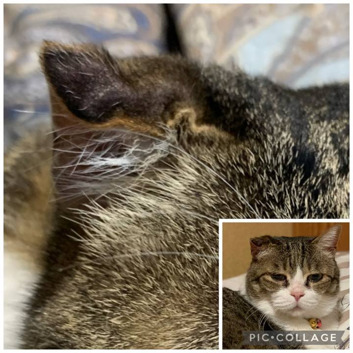 1b9c63bc 22b6 4d77 92c3 4dca6d61dab3 1684899485200