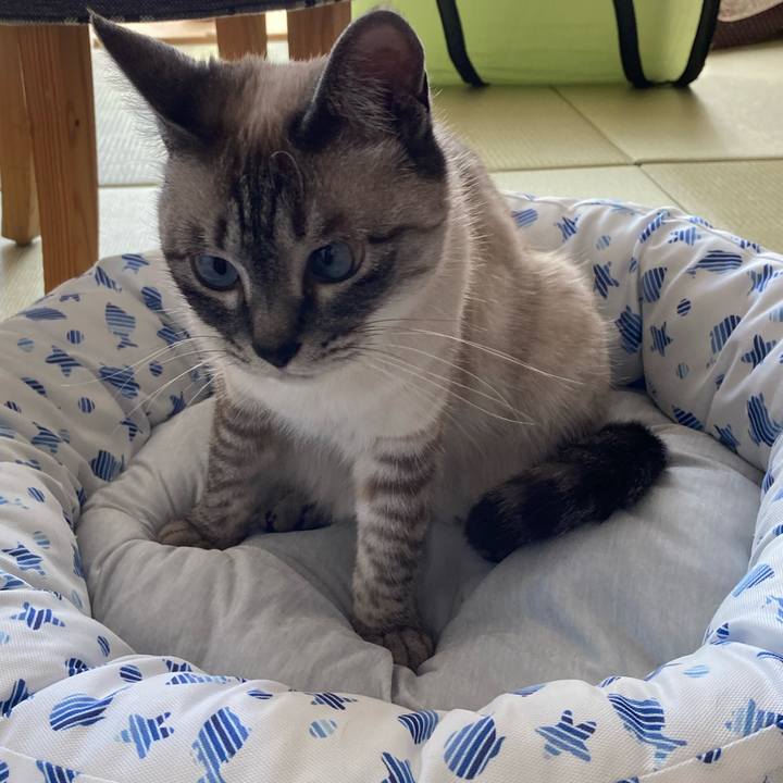 1b9c7a25 0524 4140 abf6 4f956ef0f399 1653781511665