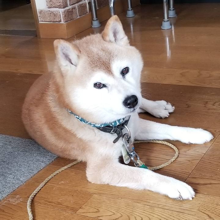 1b9c95dc cf97 4938 b758 2db33cba2325 1704854064966