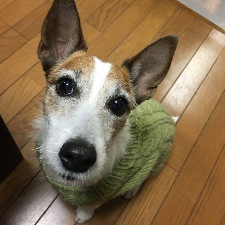 1b9cec4d e2e0 4780 9435 d84c7a8f89b3 1615597223844