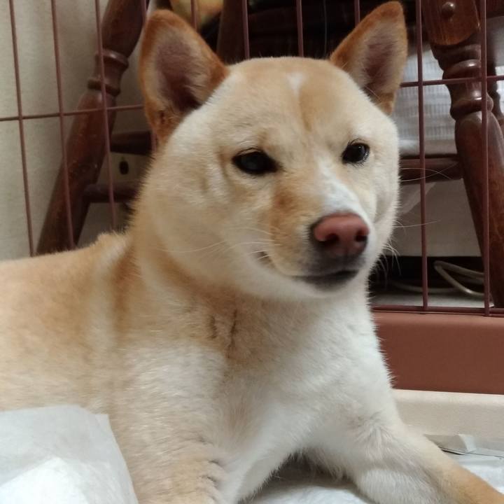 1b9d89bb 7ed7 4c1c 803a 11e8823ee37f 1525258804888