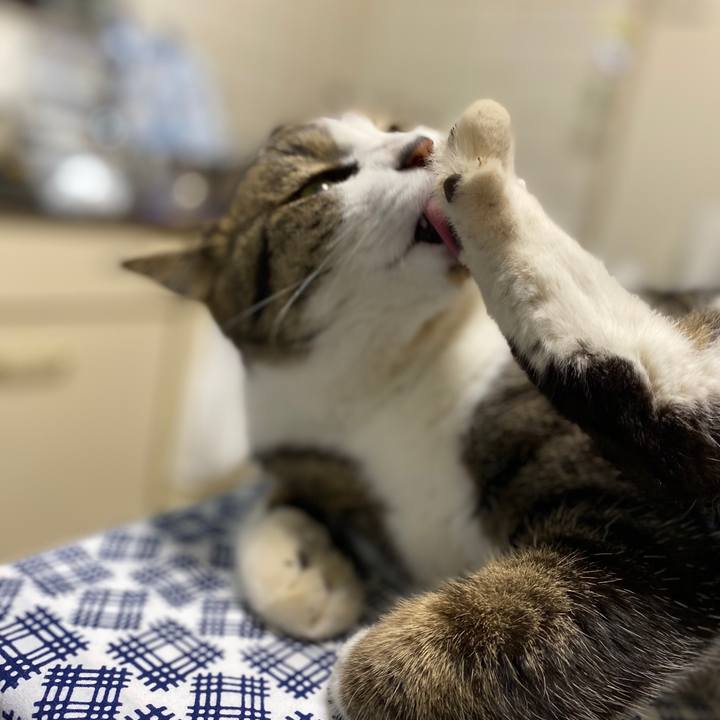 1b9d92c4 6d3d 4327 836a 25d58bfe9bd9 1577717904402