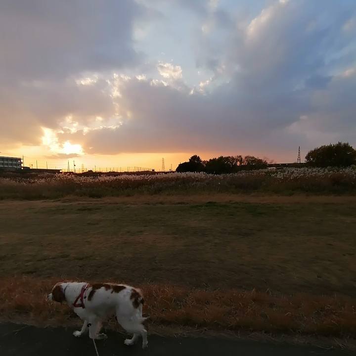 1b9db279 8da5 4096 ab75 cc9221980f2f 1607416888346