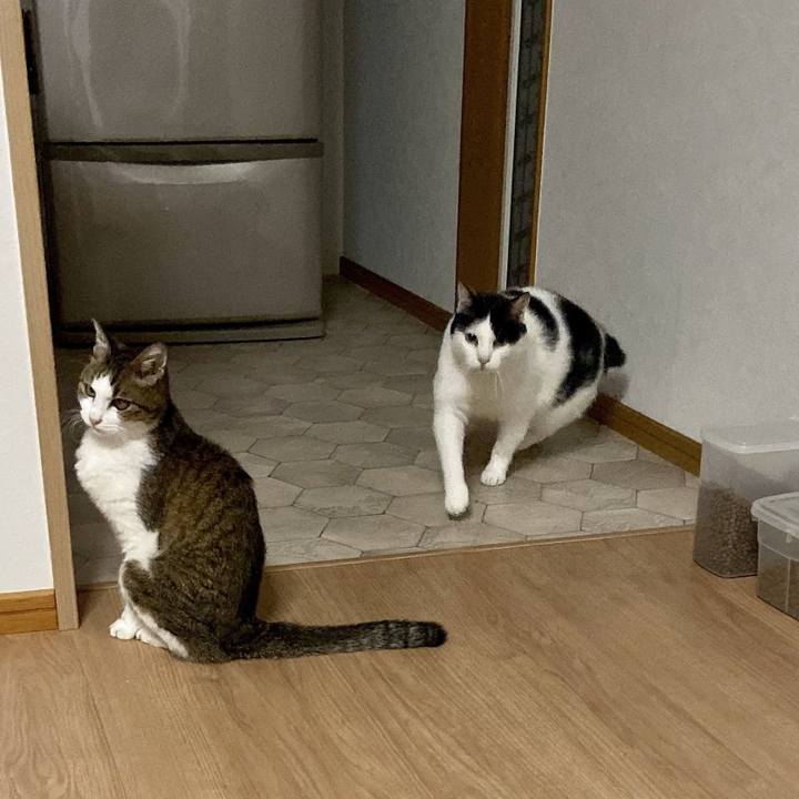 1b9db424 e339 48e9 917f 2980ae39fba5 1570963252729