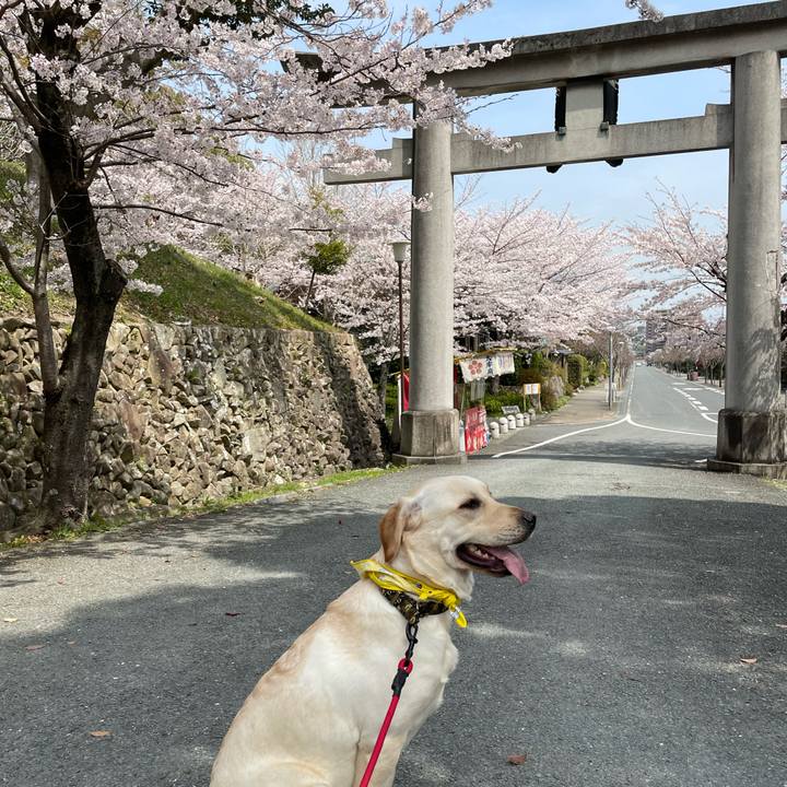 1b9dbdd6 18ce 4c11 b761 a6c5d31f3178 1648616223893