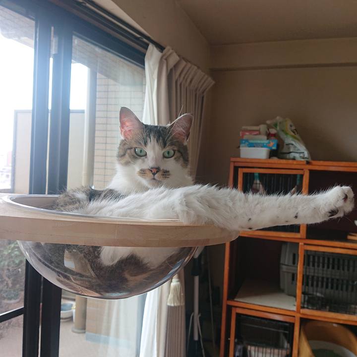 1b9dd589 956f 40eb a1db 4d1bf659f153 1687829443146