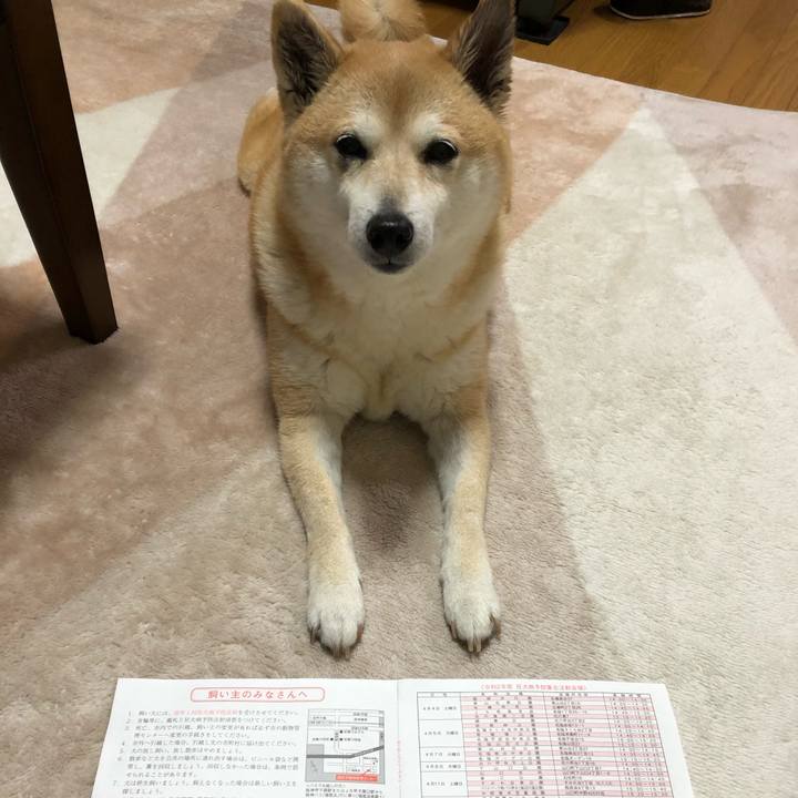 1b9e0b5d 8b13 46fe 9829 17be46729f26 1585493663960