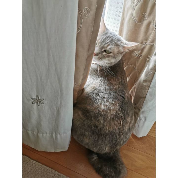 1b9e19a8 cf30 4aed b2b0 e835fd5ac225 1617784014063