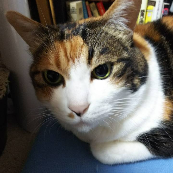 1b9e1b14 f0c7 4a4d 8b7e e91ffc260c79 1541627349318