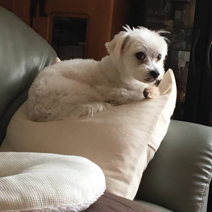 1b9e2735 69d7 482b 91e8 ac00dafbd79b 1559373576981