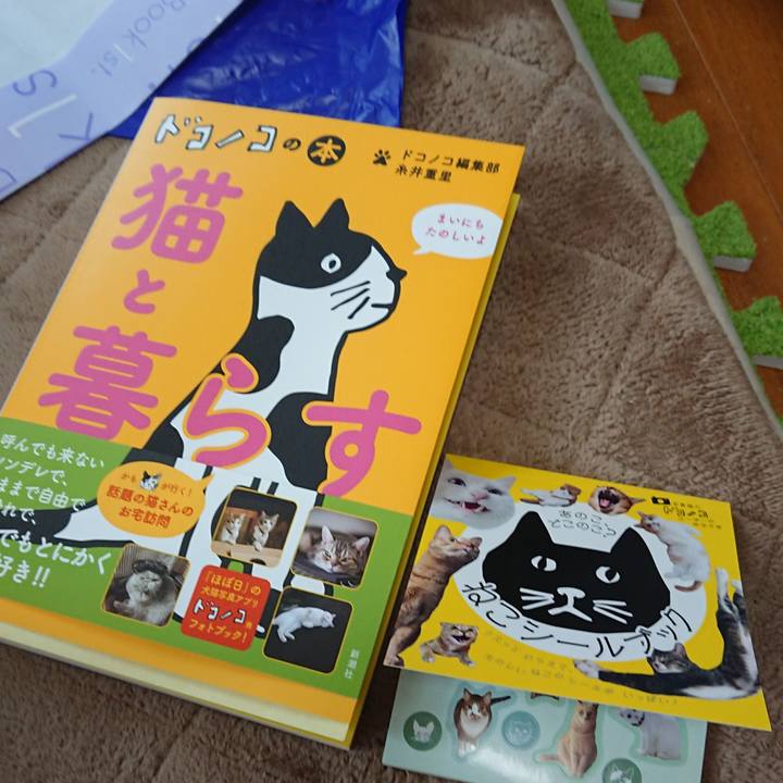 1b9e70a2 6639 4046 a788 cacdcb9df68f 1556543043763