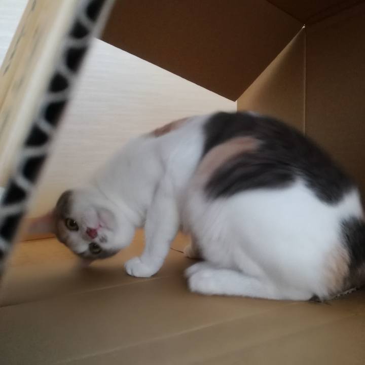 1b9e941a f43e 4bac 9efe cf84931ba9d7 1533711155926