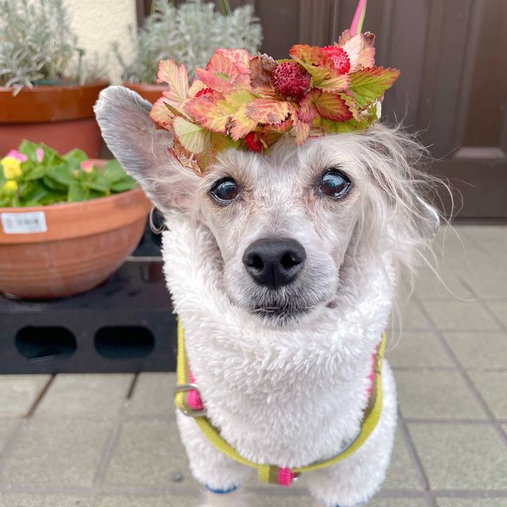 1b9e97ec f859 46b5 a232 6df5086f4c3a 1766648545528