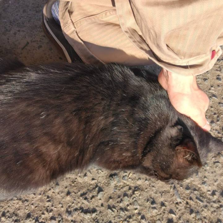 1b9e9b28 8a2d 4396 9ceb e90849c8e56c 1668156525623