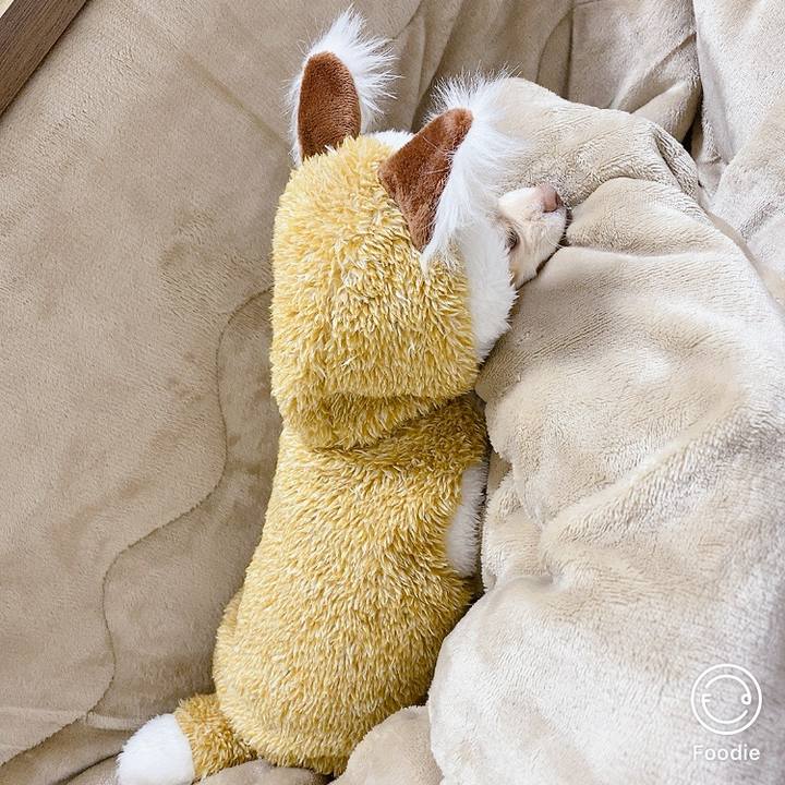 1b9e9f6b 8ce3 4e0e 8026 491efe50c9b3 1606647369579