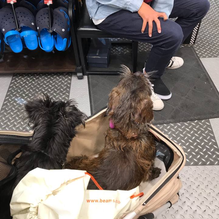 1b9ece36 ed7c 4005 bd93 96447f8f31c0 1557068859726