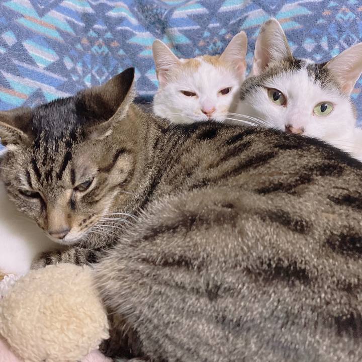 1b9ed565 fab7 43b7 b7de 25a278b116ce 1651316455778