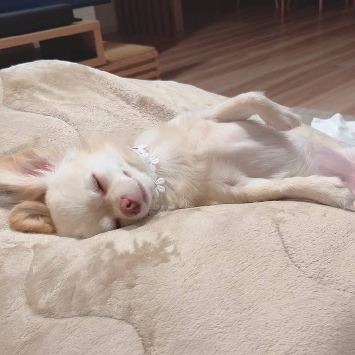 1b9f04f8 0e40 42b9 a8e7 2422365d1f34 1690801656294