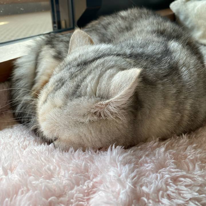 1b9f6354 10da 4c8d bf50 a6eb1cf9b439 1738385567386