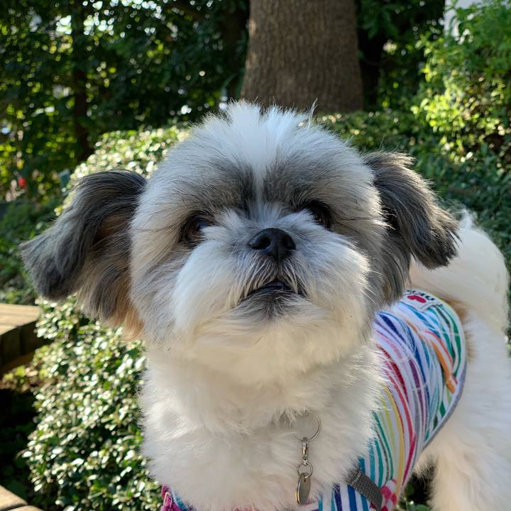 1b9f9d5e 3c0f 4dd8 bf2d 880a317bff5a 1603935282674