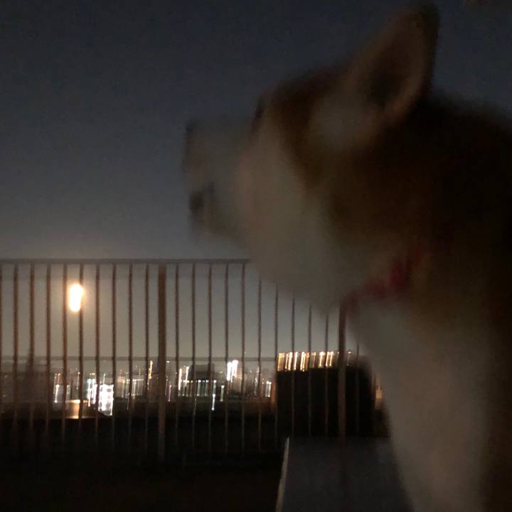 1b9fb5be e591 4a7d 884d e79581aea4bf 1580088301180