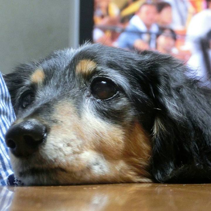 1b9fc4aa f18b 4b90 94a2 56aff8d7c8a0 1541516893366