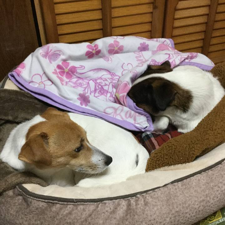 1b9fd955 dfb1 413b a33c 810399e05da6 1541022135074