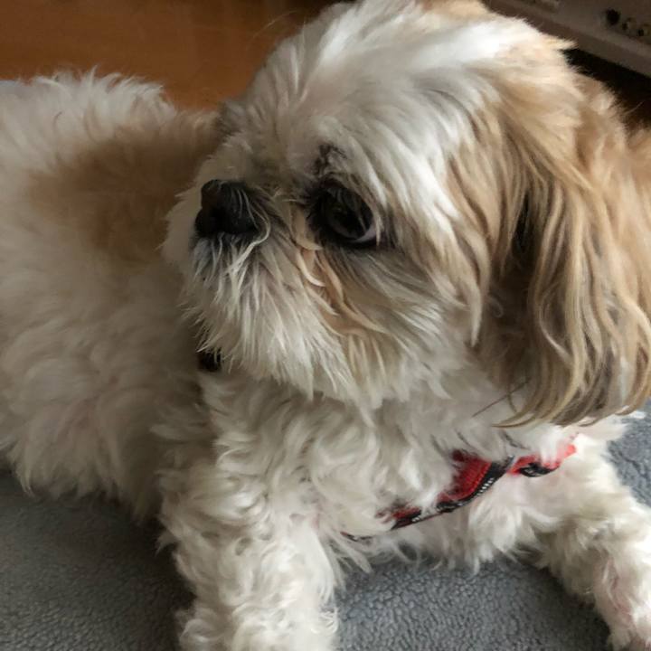 1b9fddb1 abd8 4b2e a40a 21265982021d 1557265649433