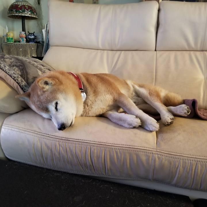 1ba006f7 cea7 4de9 b927 34ecc993ab4b 1742340935265