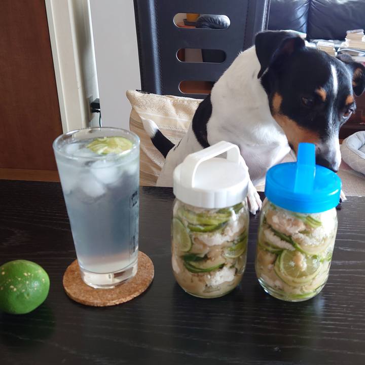 1ba00c58 a425 4132 a22d eecbee32ad63 1726537061761