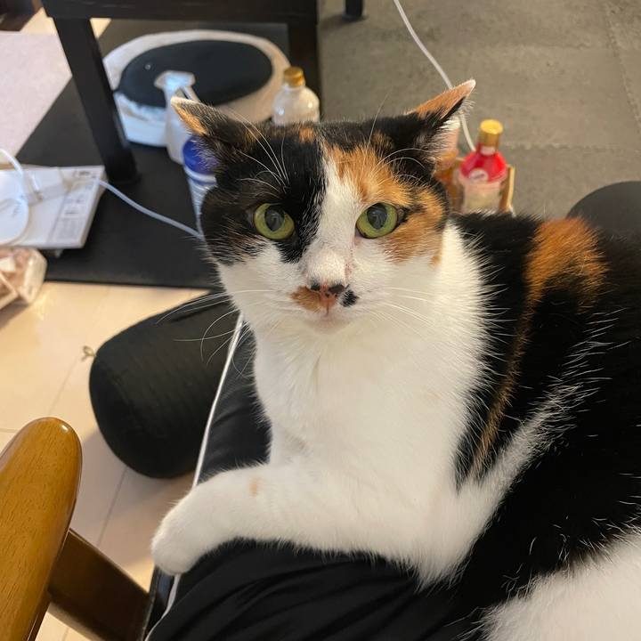 1ba03cf6 7bad 462f 849c 572bf1649e59 1749879100966